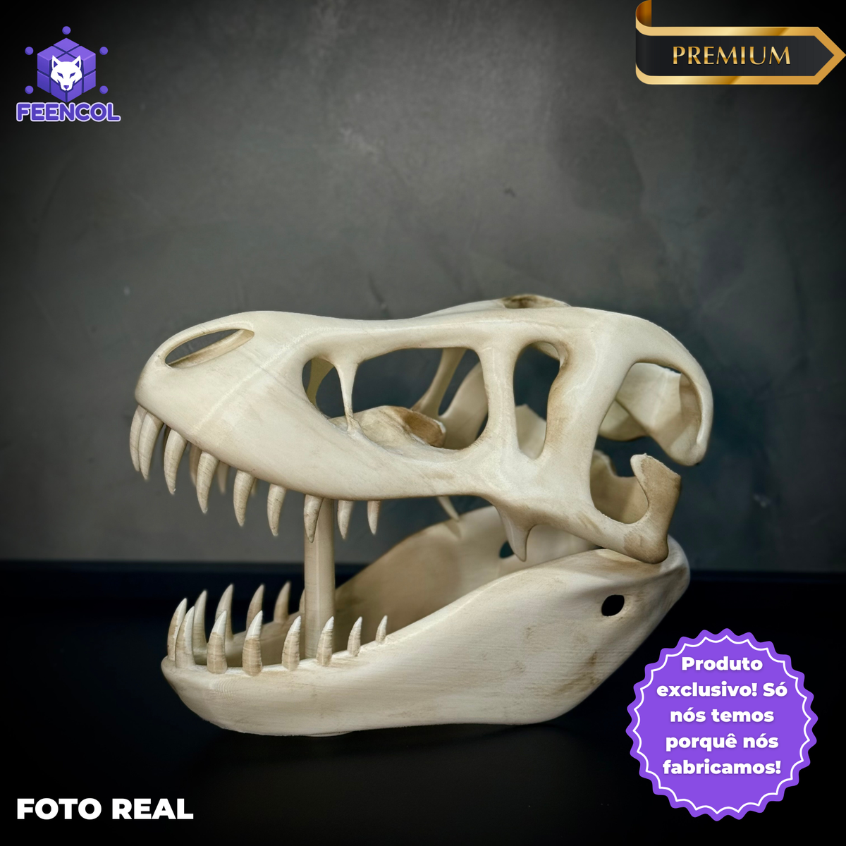  The Titan Skull (Cranio de Dinossauro)  Decoração Premium Grande pintado a mão, Pronta entrega