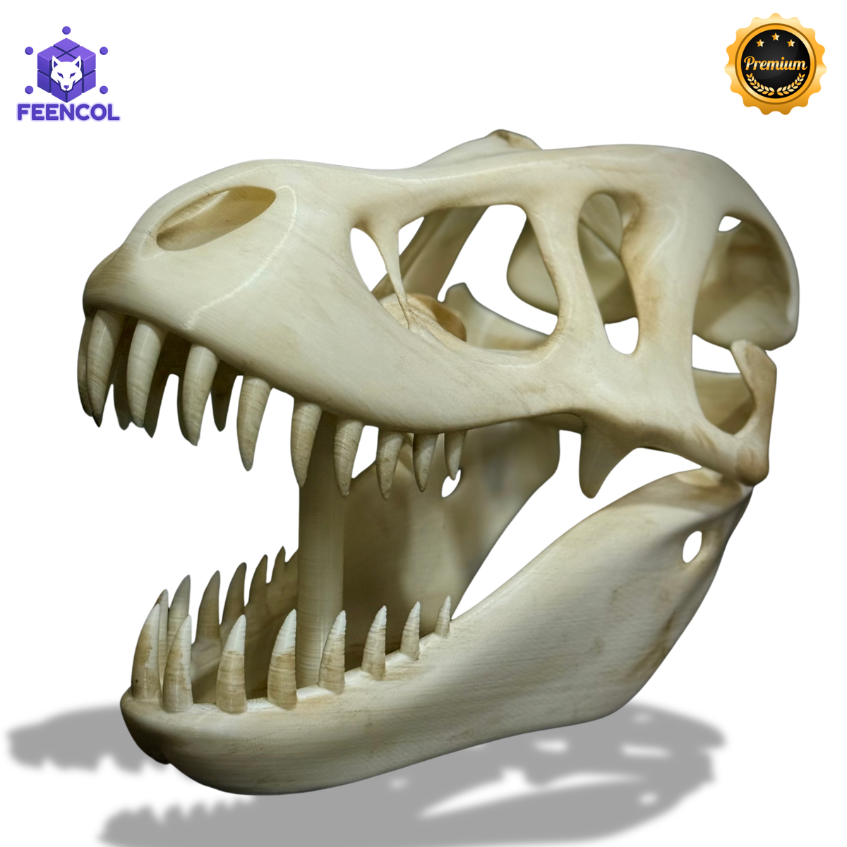  The Titan Skull (Cranio de Dinossauro)  Decoração Premium Grande pintado a mão, Pronta entrega