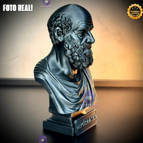 The HipócratesLegacy ( Busto Premium de Hipócrates ) Decorativo de Luxo pintado a mão, Pronta entrega ORIGINAL.