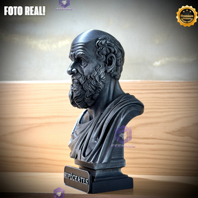 The HipócratesLegacy ( Busto Premium de Hipócrates ) Decorativo de Luxo pintado a mão, Pronta entrega ORIGINAL.