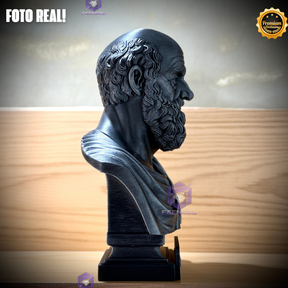 The HipócratesLegacy ( Busto Premium de Hipócrates ) Decorativo de Luxo pintado a mão, Pronta entrega ORIGINAL.