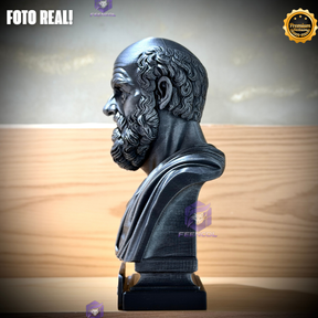 The HipócratesLegacy ( Busto Premium de Hipócrates ) Decorativo de Luxo pintado a mão, Pronta entrega ORIGINAL.