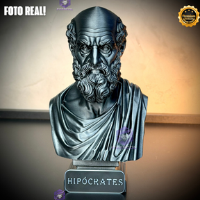 The HipócratesLegacy ( Busto Premium de Hipócrates ) Decorativo de Luxo pintado a mão, Pronta entrega ORIGINAL.