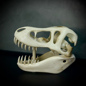  The Titan Skull (Cranio de Dinossauro)  Decoração Premium Grande pintado a mão, Pronta entrega