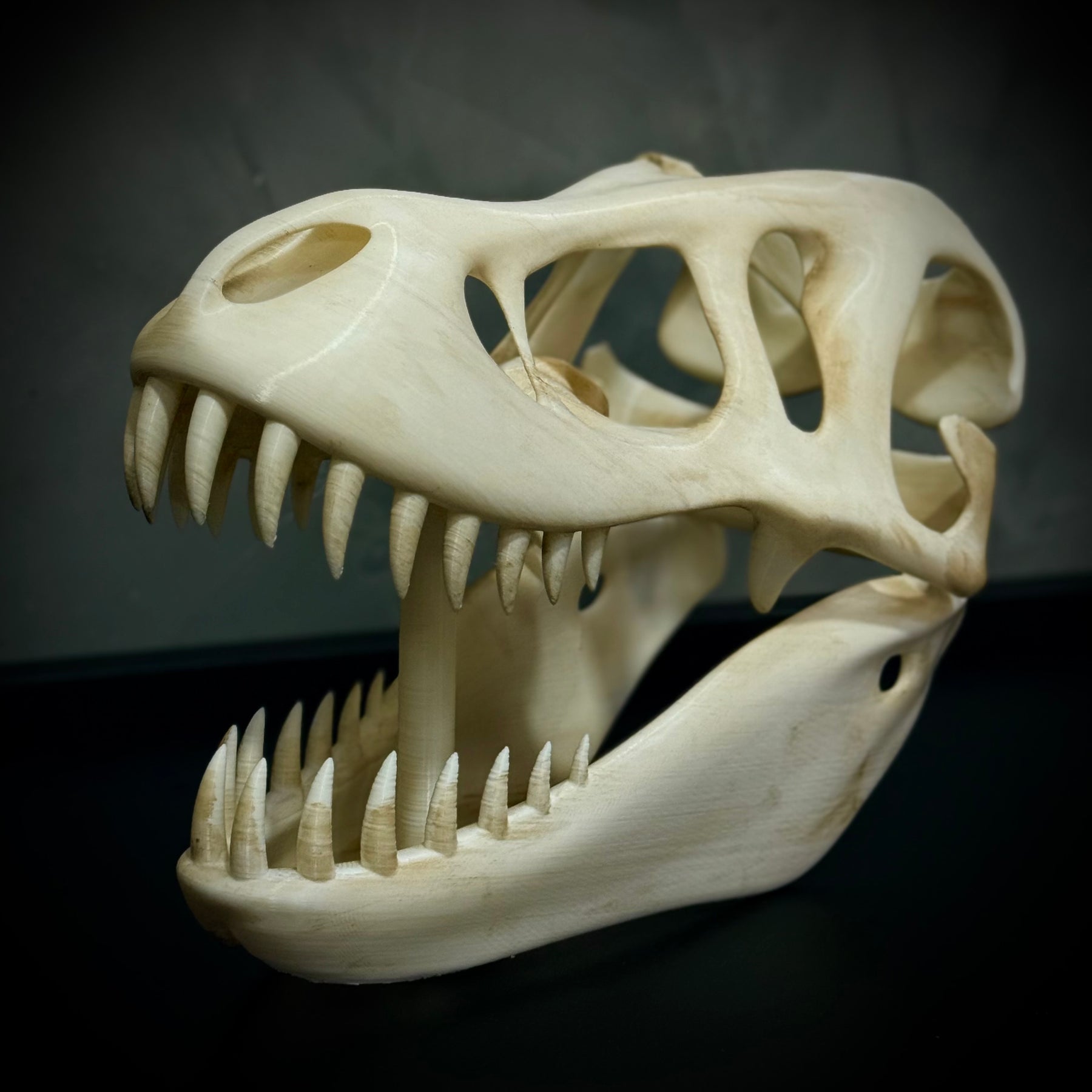  The Titan Skull (Cranio de Dinossauro)  Decoração Premium Grande pintado a mão, Pronta entrega