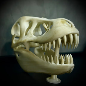  The Titan Skull (Cranio de Dinossauro)  Decoração Premium Grande pintado a mão, Pronta entrega