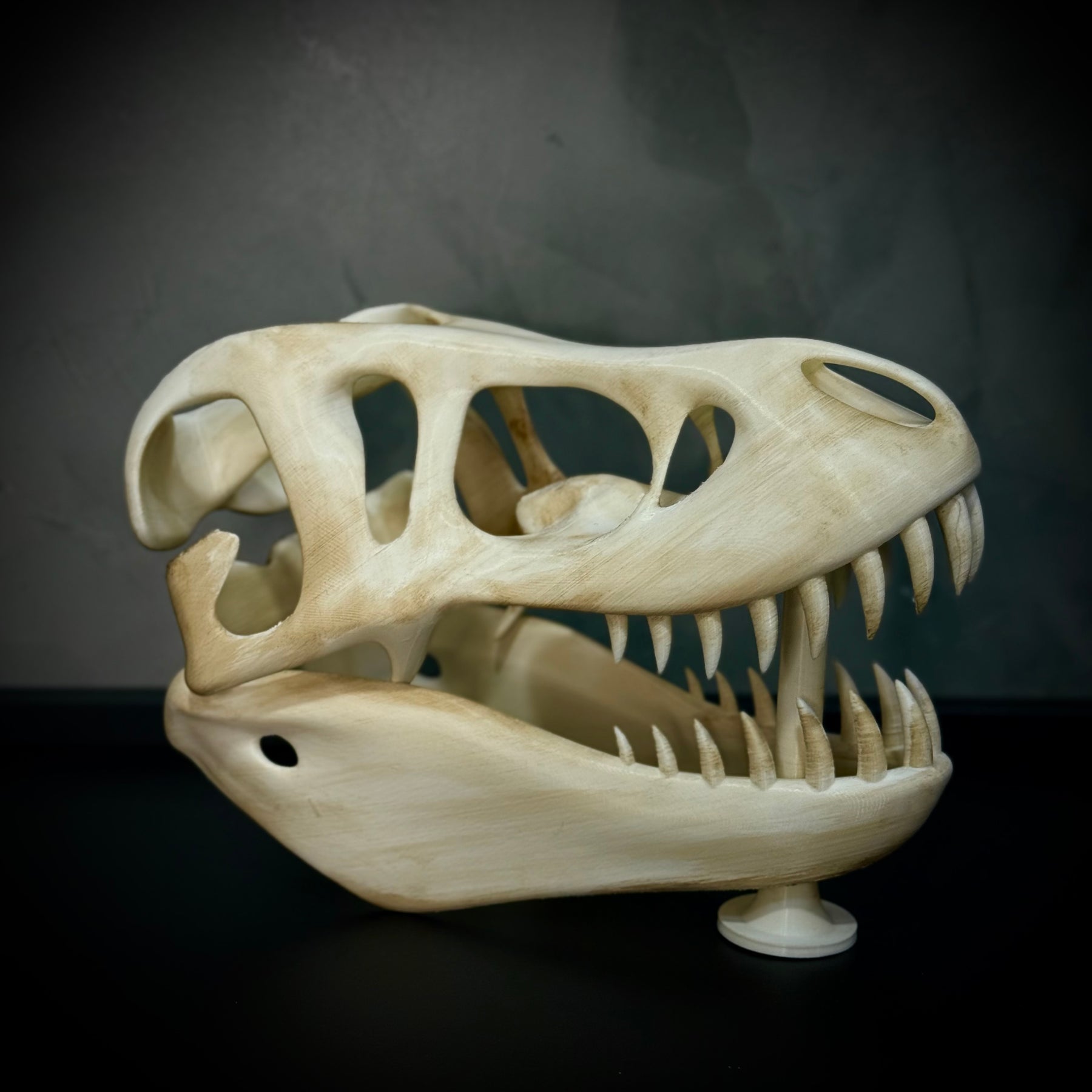  The Titan Skull (Cranio de Dinossauro)  Decoração Premium Grande pintado a mão, Pronta entrega